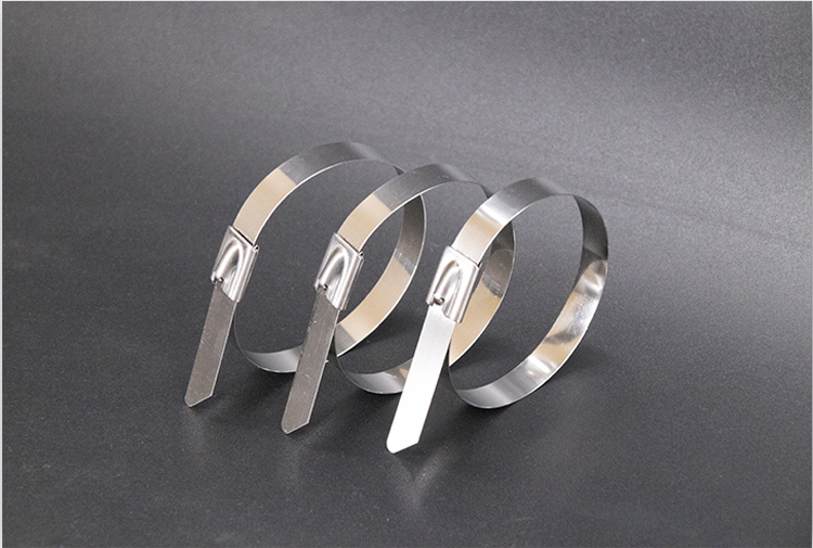 Coated Stainless Steel Cable Ties Coated Stainless Steel Cable Ties